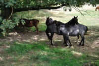 Frankreich_20100916_140607