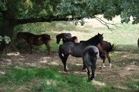 Frankreich_20100916_140612