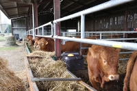 Frankreich_20100916_141941