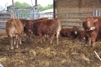 Frankreich_20100916_142112