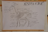 Tschechien_2010_143m