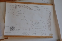 Tschechien_2010_147m