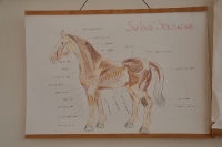 Tschechien_2010_152m