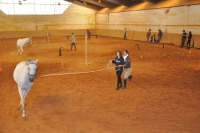 Frankreich_20100916_114801